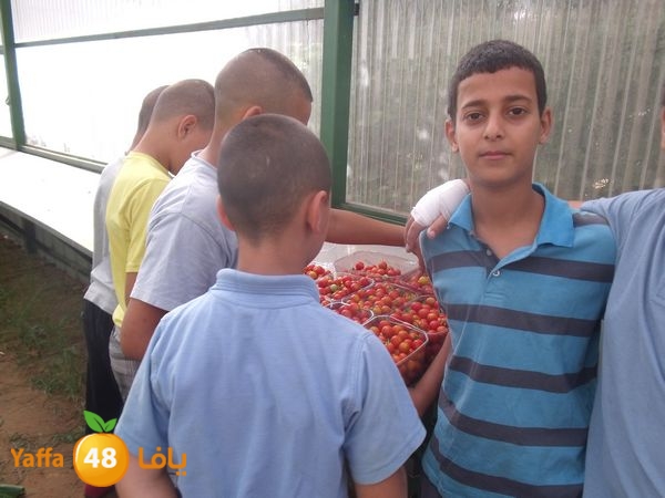 sooqelzahra2lud602 (50).JPG